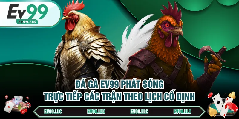 Đá gà EV99 phát sóng trực tiếp các trận theo lịch cố định